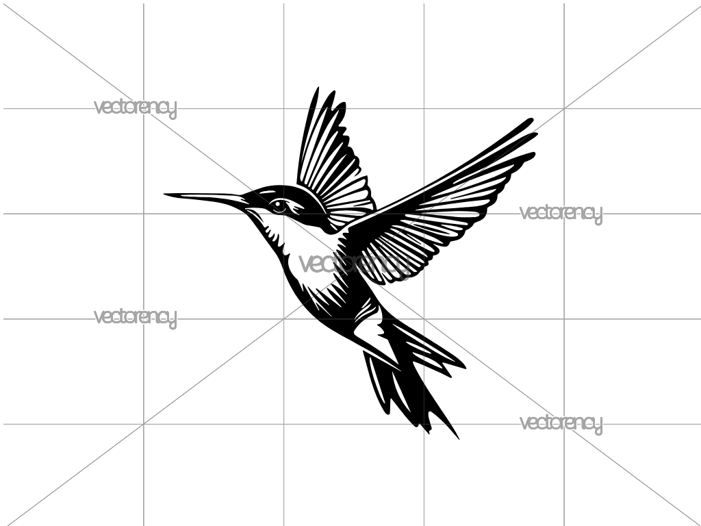 Hummingbird SVG