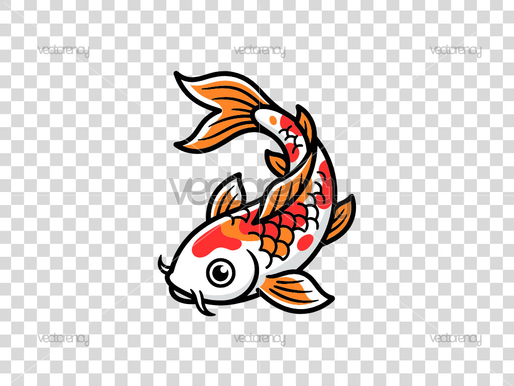 Koi Fish Swimming Red White Vector