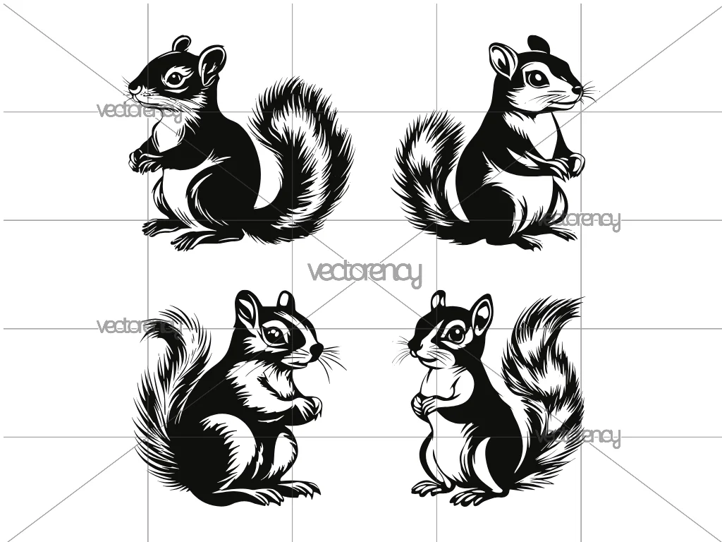 Squirrel Clipart