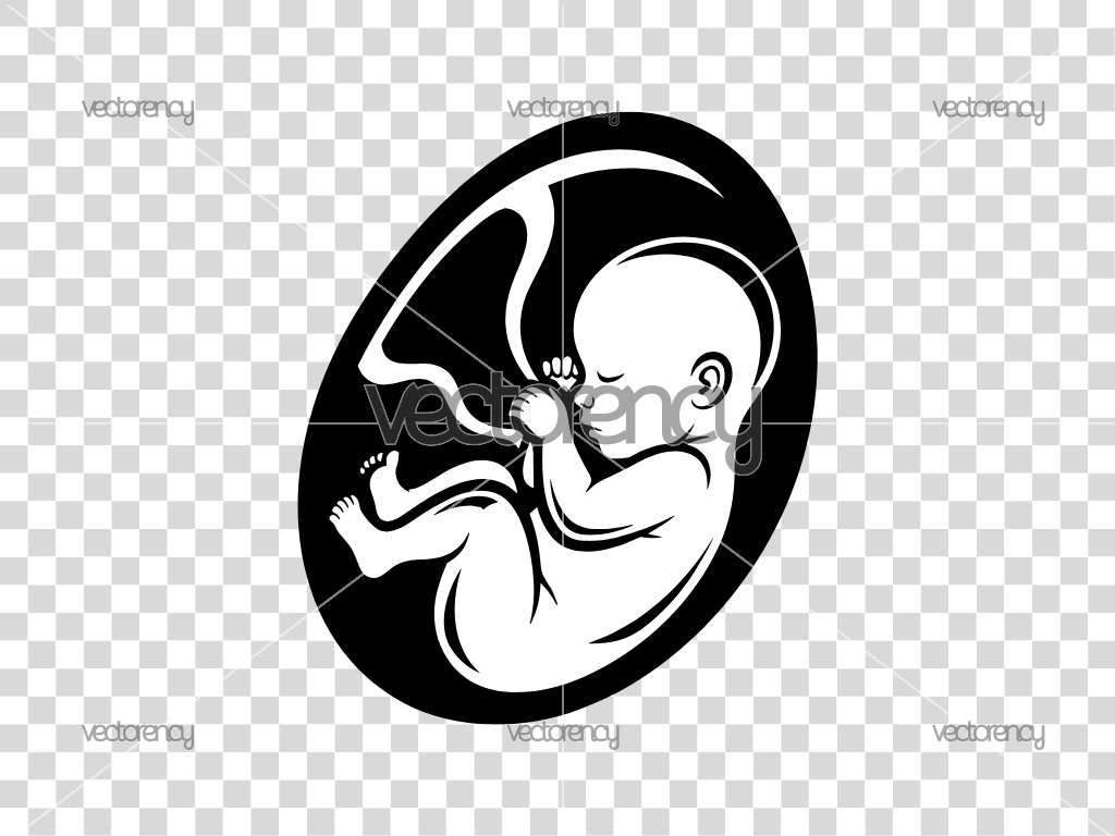 Baby in Womb SVG