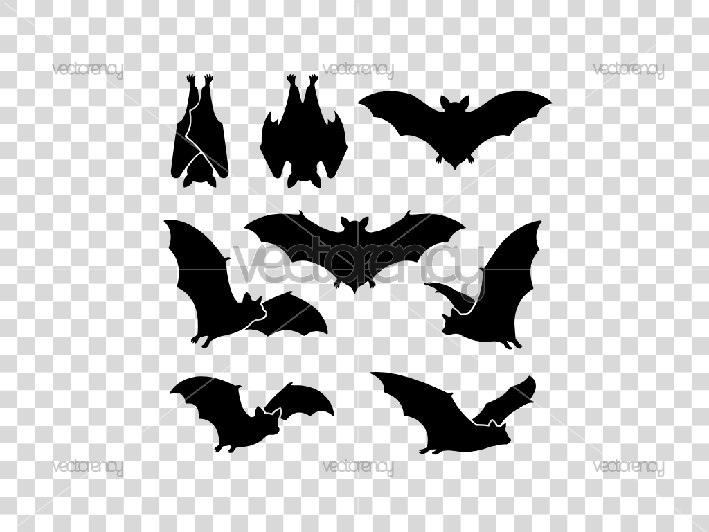 Bat Silhouette SVG Cricut Cut File