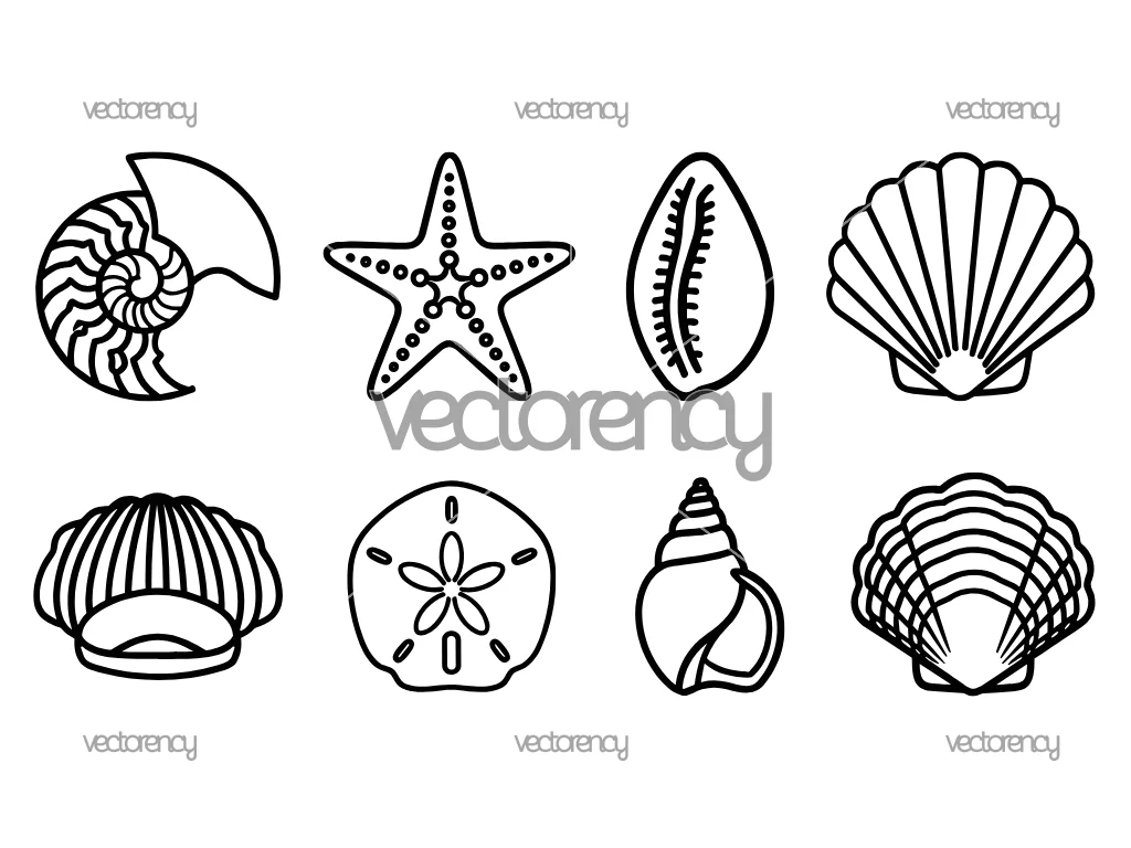 9 Sea Shell Aesthetic SVG Cut Files
