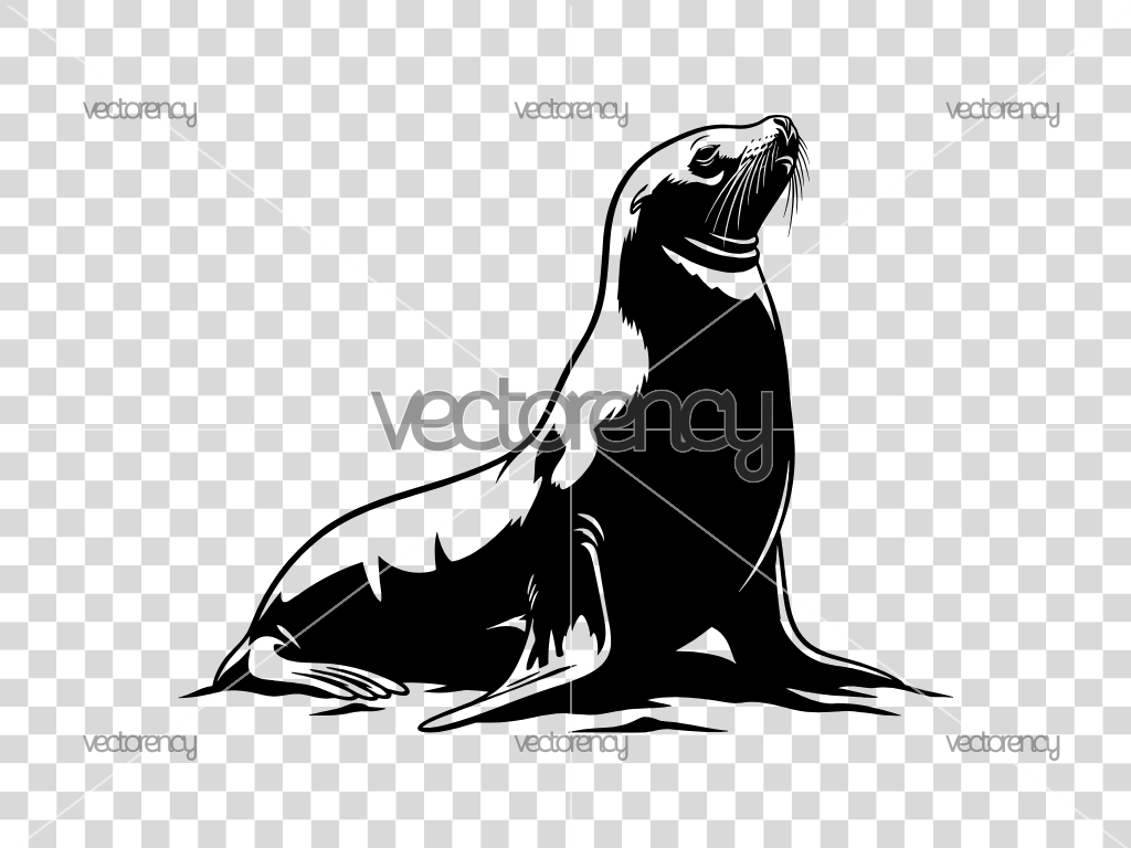 Sea Lion SVG Cricut