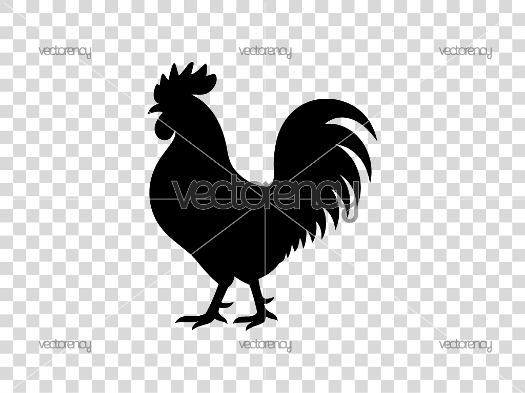 Rooster SVG