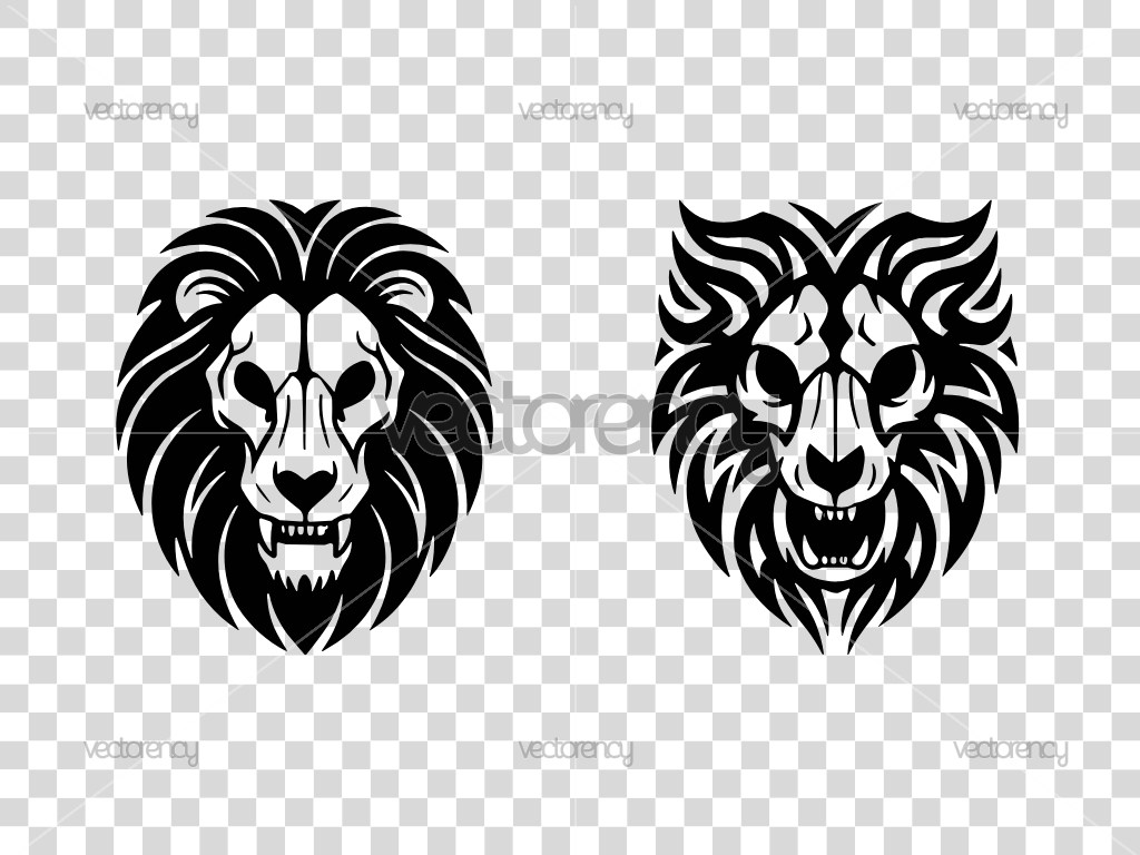 Skull of Lion Illustration Image Vector