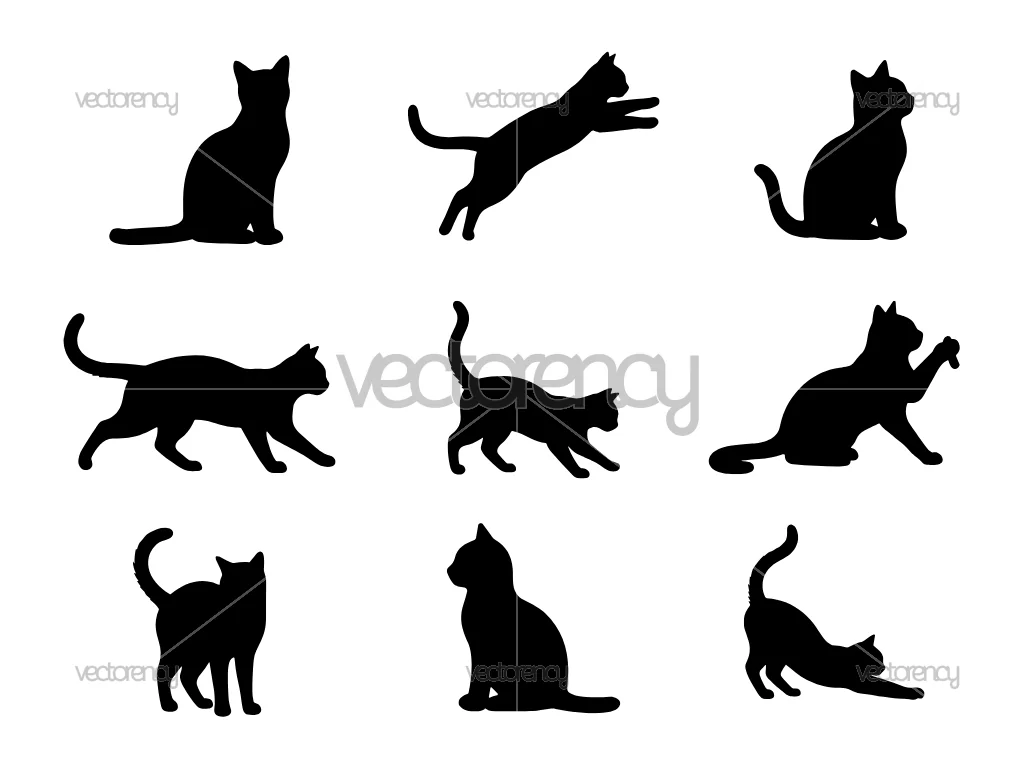 Cat Silhouette Vector SVG Set