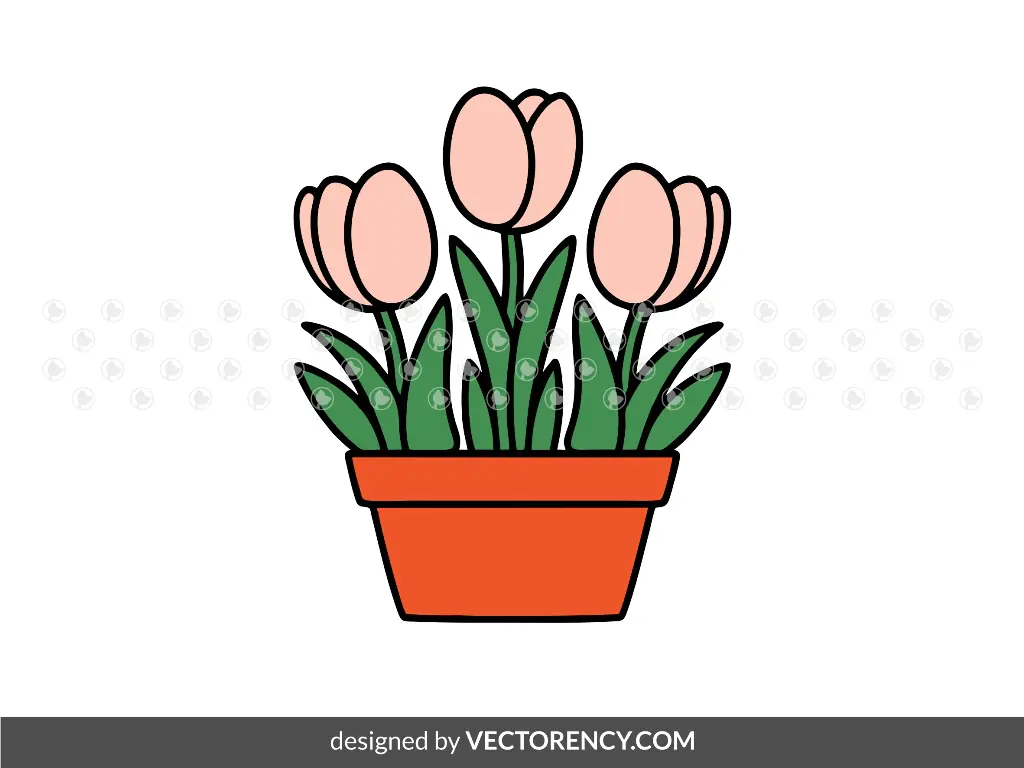 Tulips Terracotta Pot PNG SVG Vector