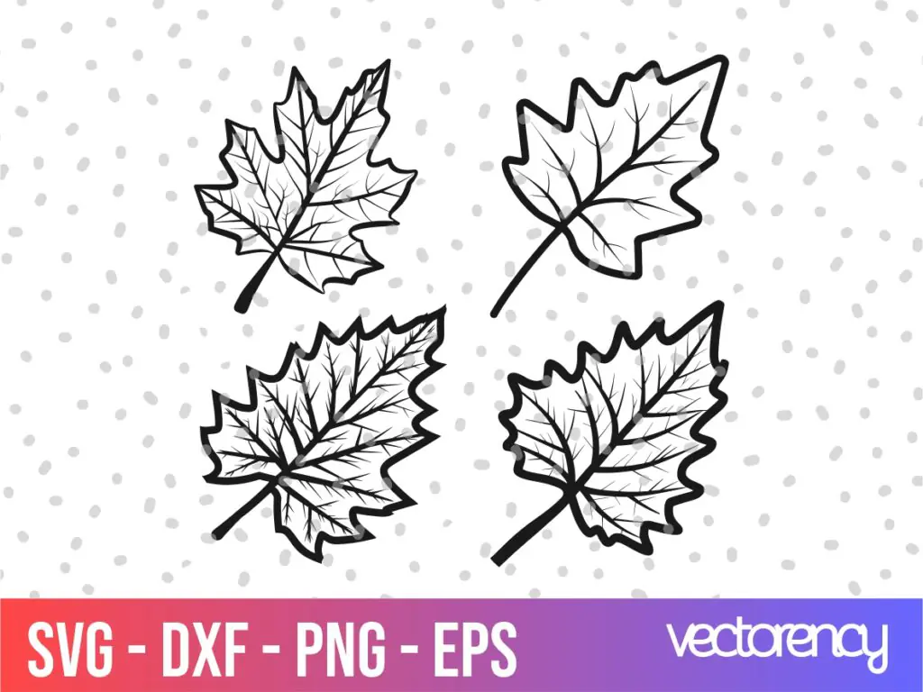 Fall Leaf SVG, Leaf Clipart