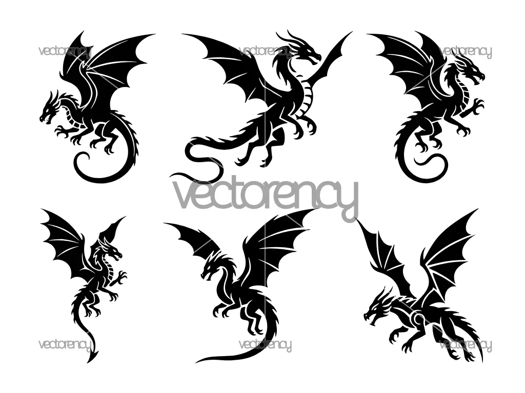 Flying Dragon Vector Set SVG