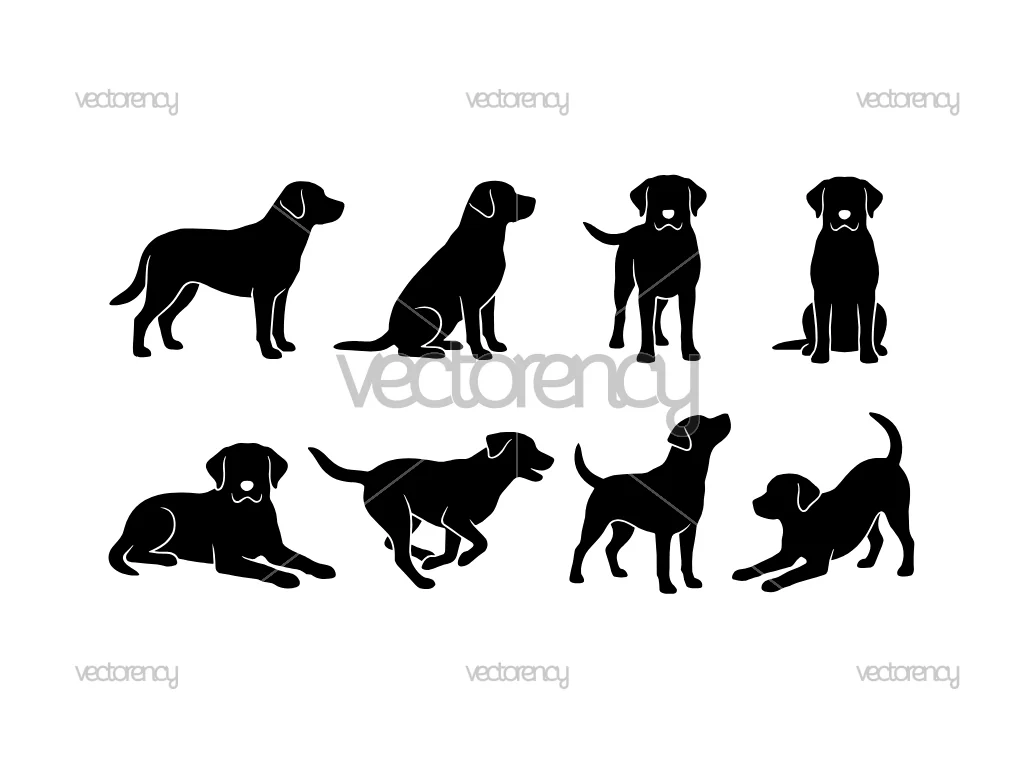 Labrador Retriever Dog Silhouette Vector