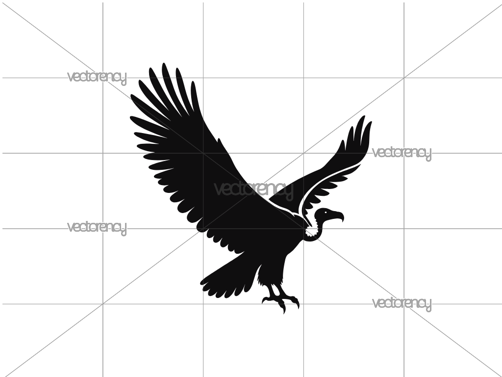 Condor Bird SVG