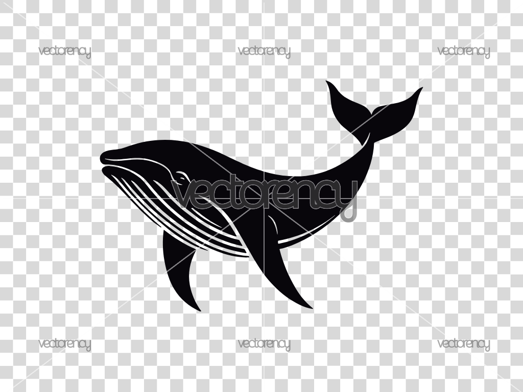 Whale Cut Files, SVG For Cricut, SVG Cutting Files, DXF For Laser, Silhouette Cut File
