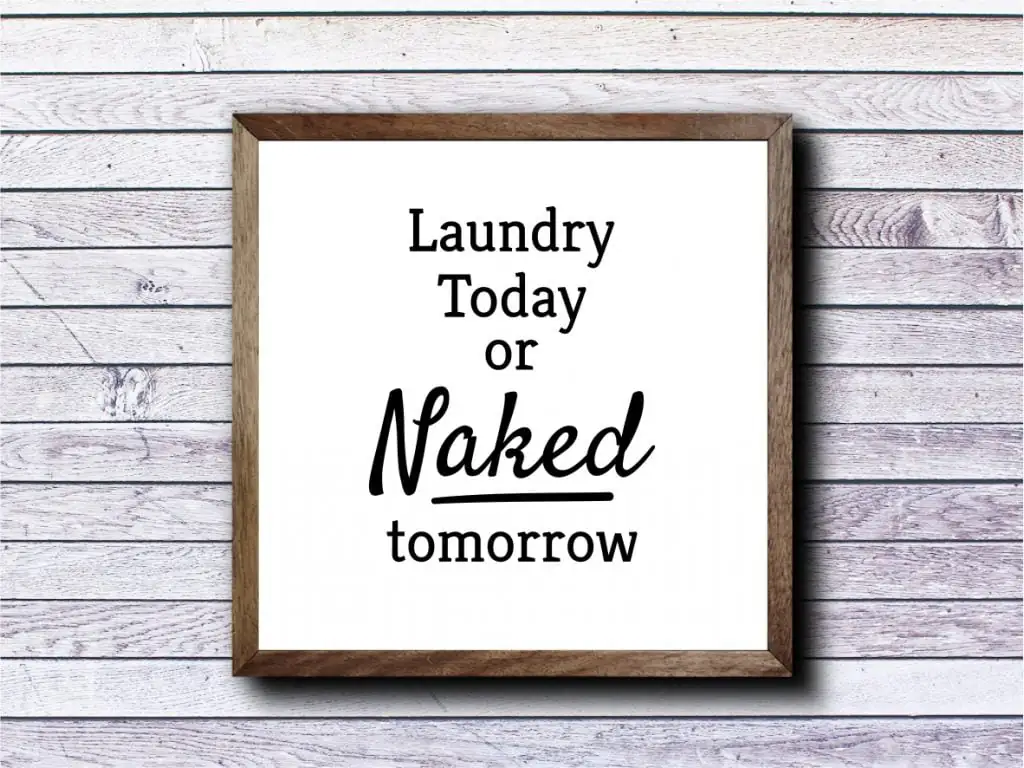 Laundry Today or Naked Tomorrow SVG