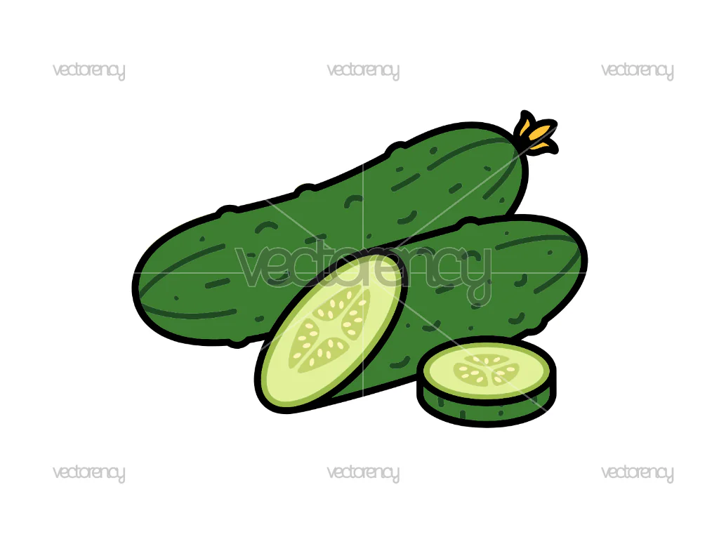 Cucumber Images Clipart SVG PNG EPS