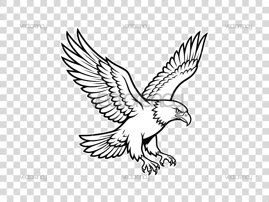 Bird Eagle Vector SVG