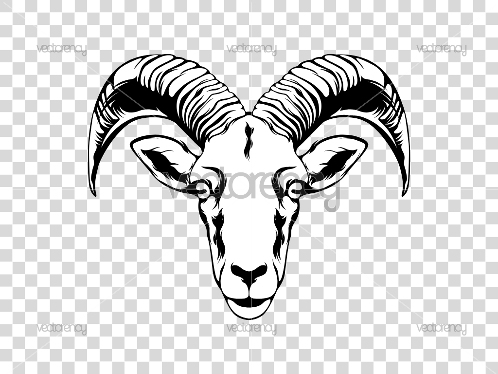 Goat Face illustration Rams Vector PNG