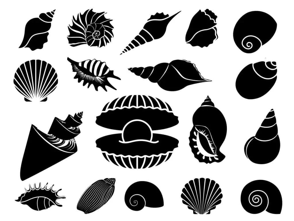 Seashell SVG Bundle