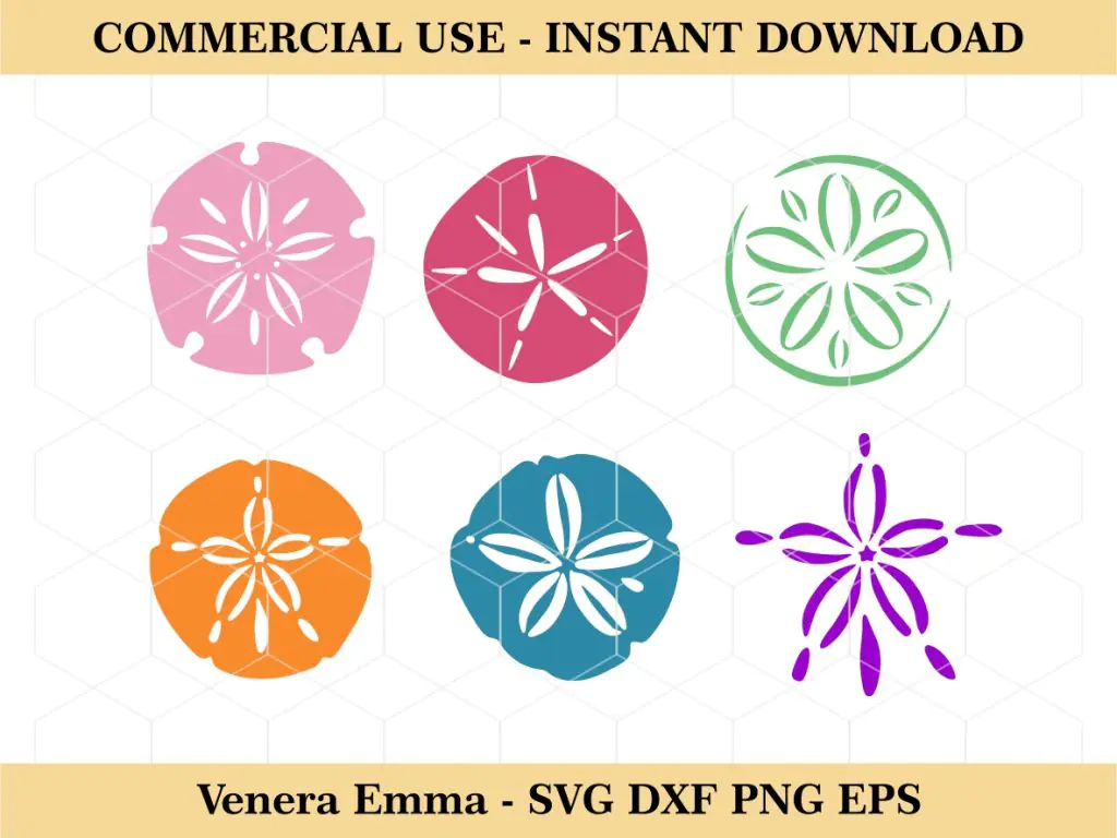 Sand Dollar SVG