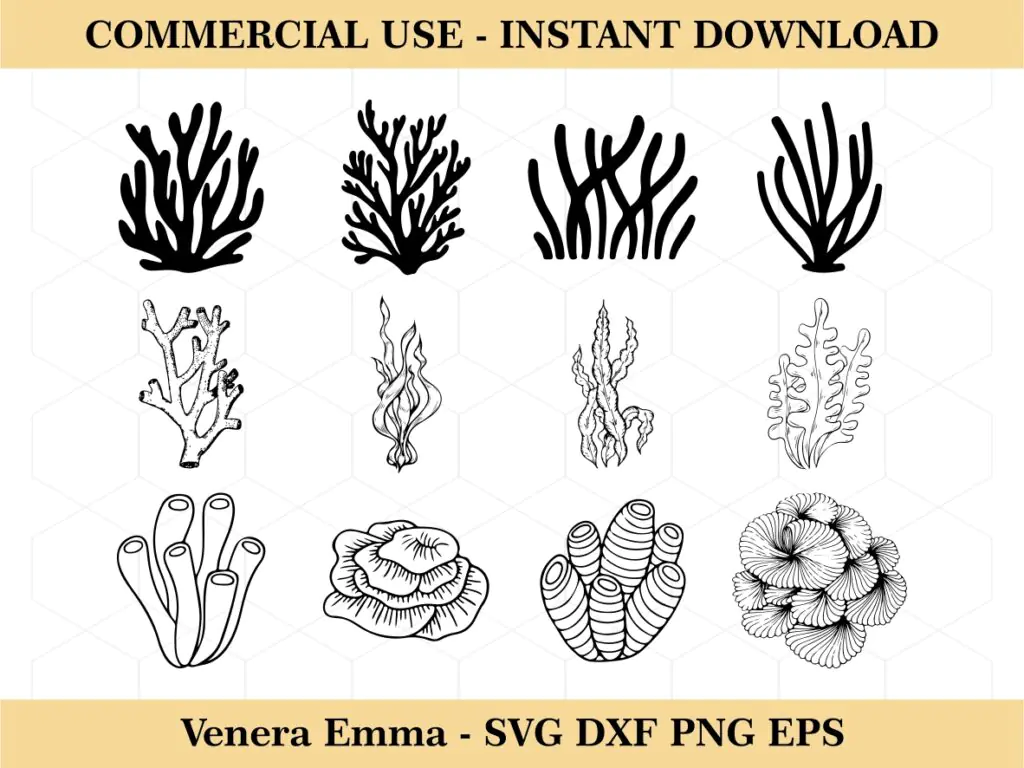 Coral, Seaweed SVG for cricut, Corals Bundle designs, Seaweed Bundle, Ocean, Sea Plants