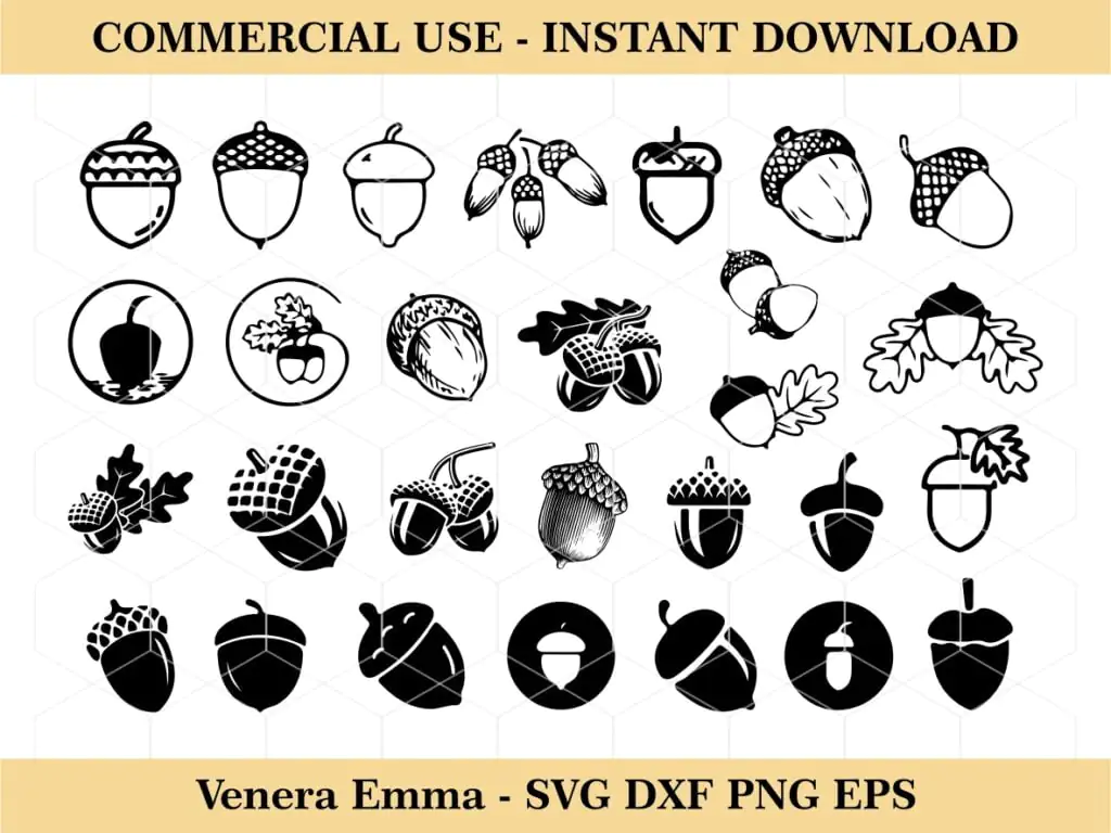 Acorn SVG, Acorn Cricut, Acorn Clipart