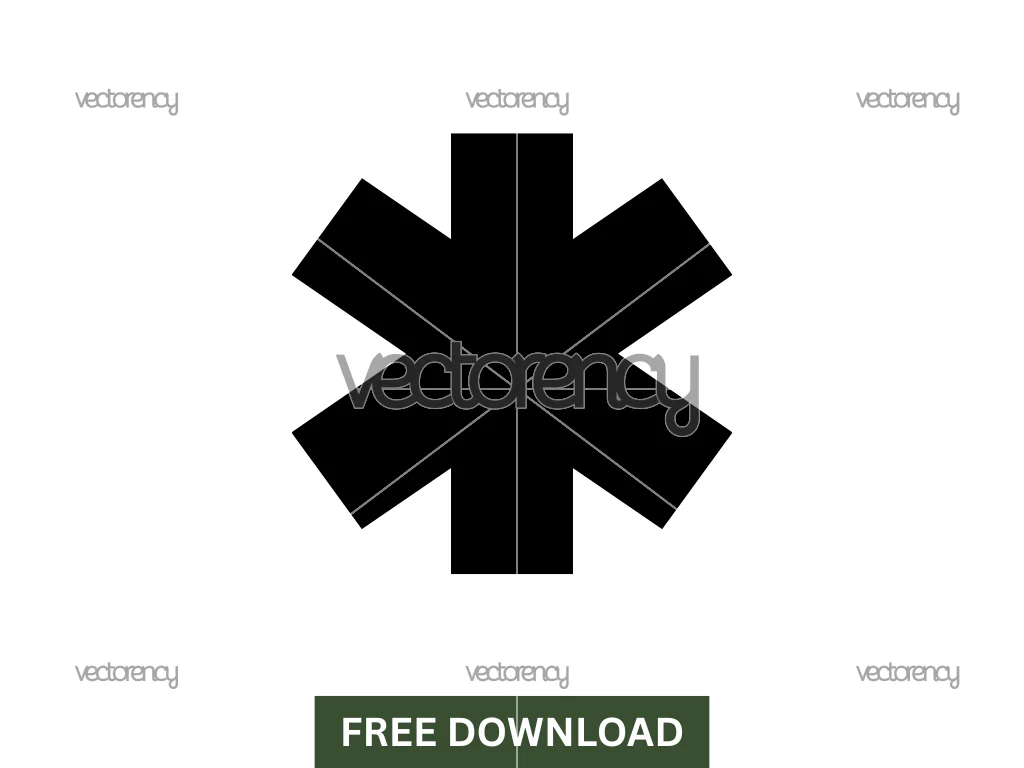 Star of Life Paramedic Icon