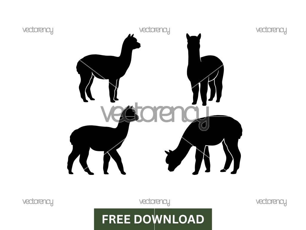 Alpaca Vector Silhouette