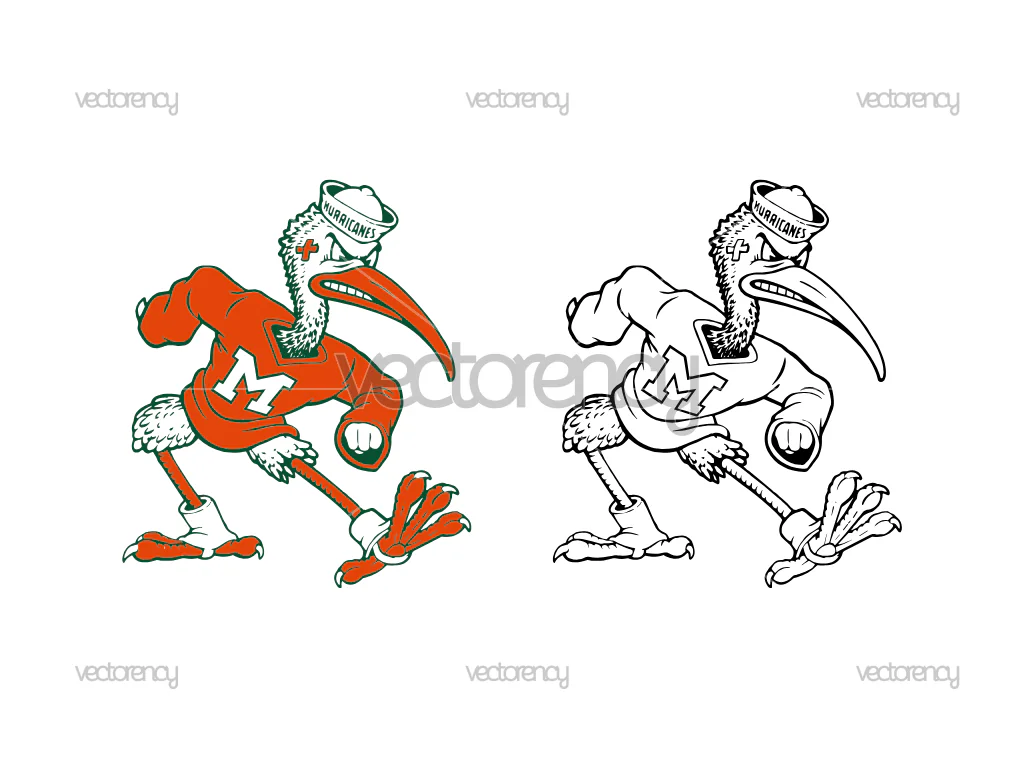 Miami Hurricanes Vintage Sebastian Ibis PNG SVG Outline