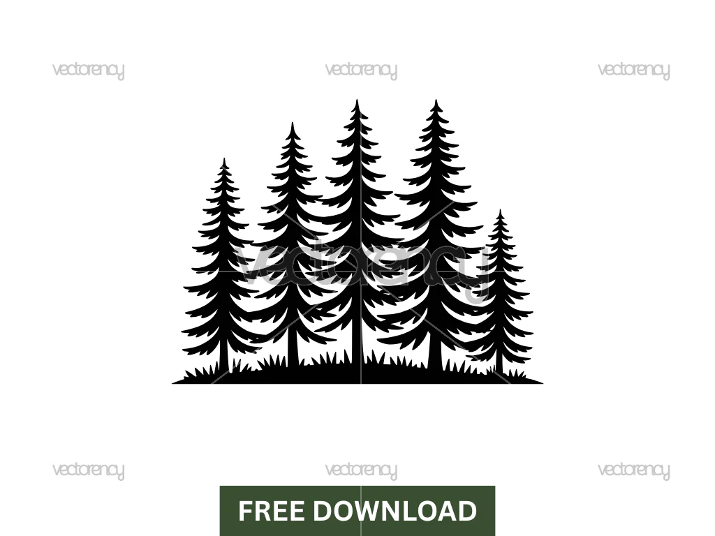 Conifer SVG Free