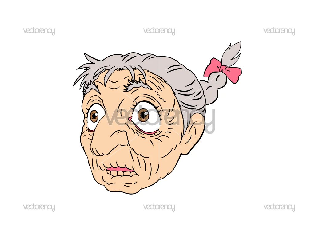 Sophie Hatter Howl's Moving Castle Ghibli Like Grandma Face Head