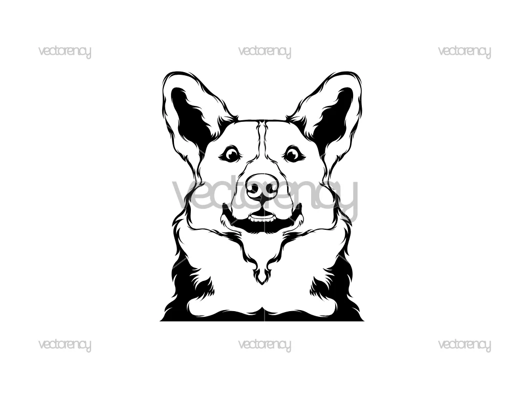 Corgi Dog Head Illustration SVG