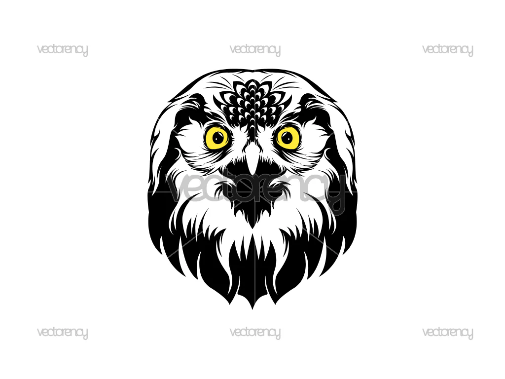 Owl Head Illustration