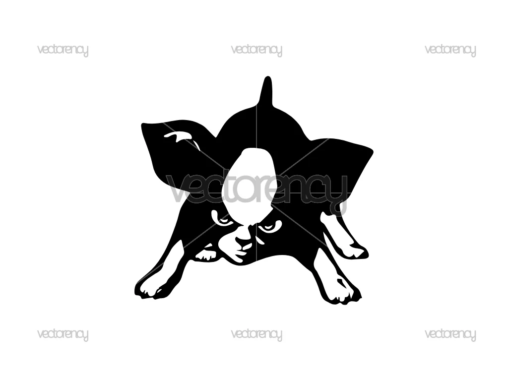 Iggy Anime Decal Sticker Design SVG PNG