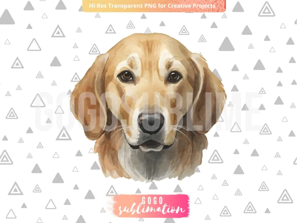 Watercolor Golden Retriever PNG Transparent