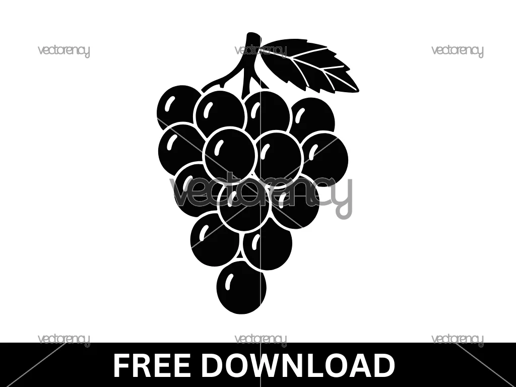 Grapes SVG Free