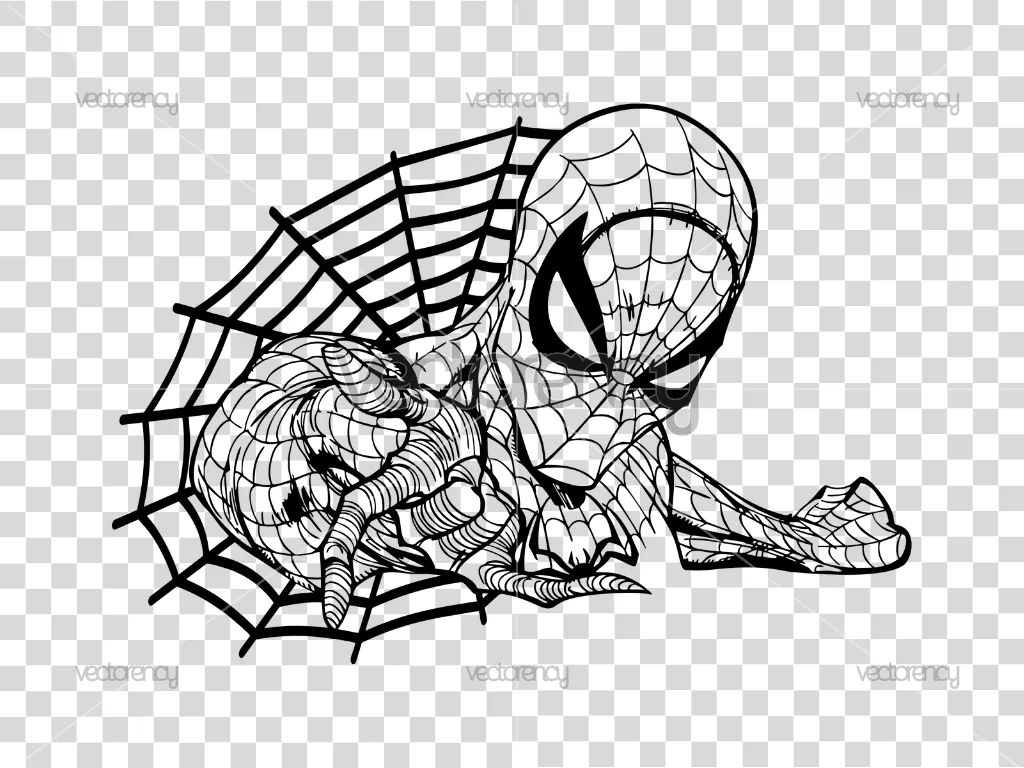 Spiderman Cartoon PNG – Kids Friendly Marvel Art File
