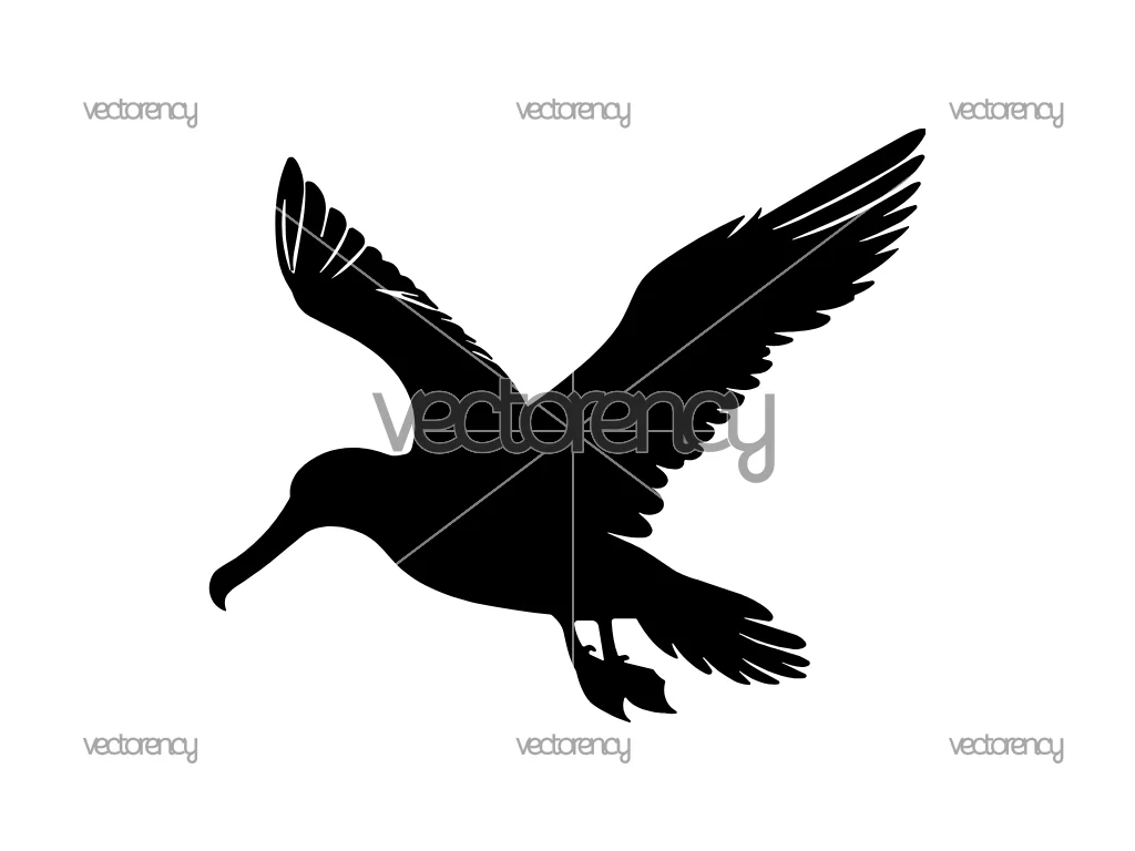 Albatross Silhouette SVG