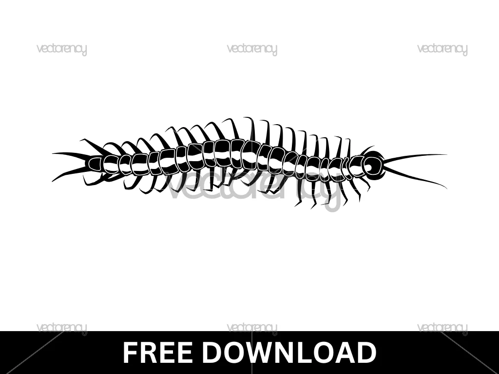 Free Download Centipede SVG Vector PNG