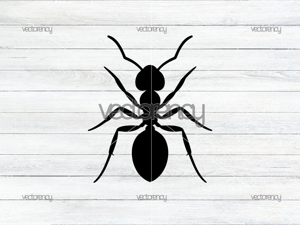 Ant SVG Silhouette Cricut