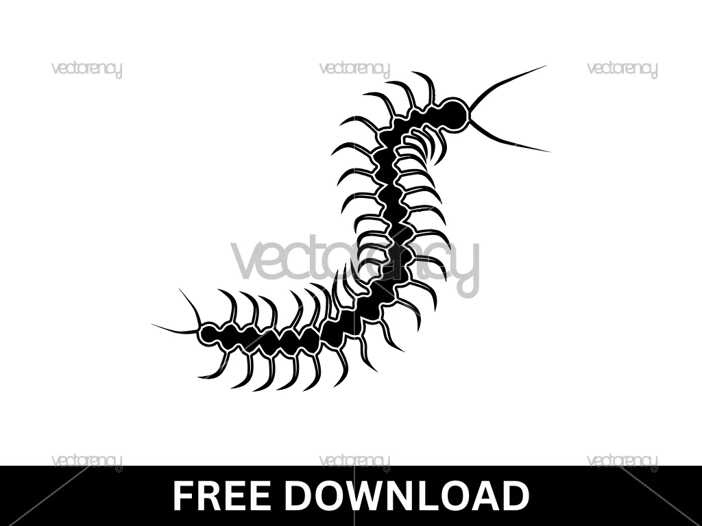 Free Centipede Clipart SVG PNG EPS