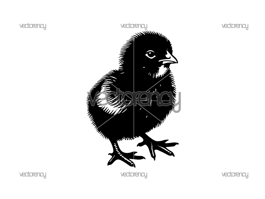Baby Chick SVG File