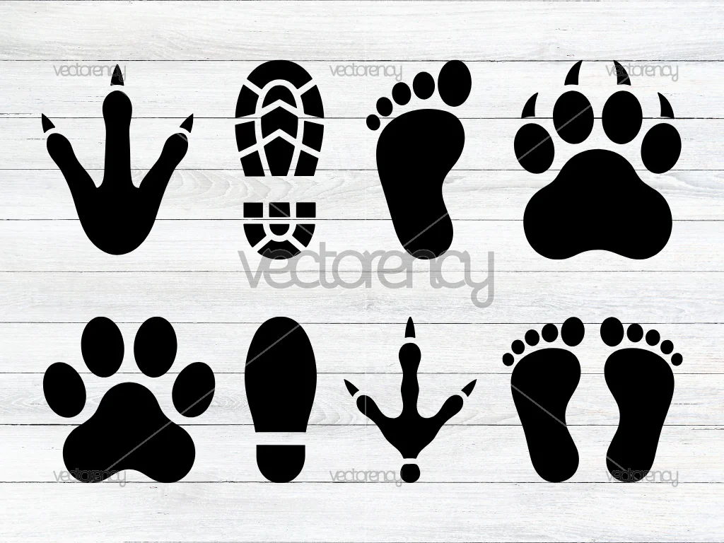 Footprints Shoes Dog Baby SVG Download