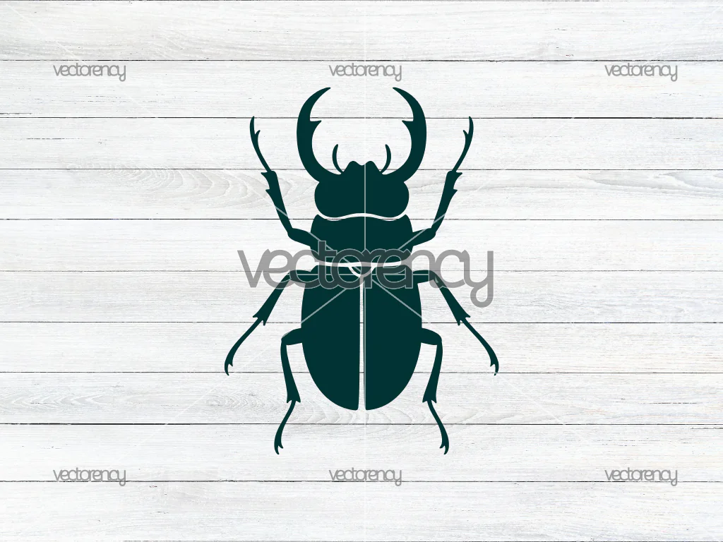 Beetle SVG