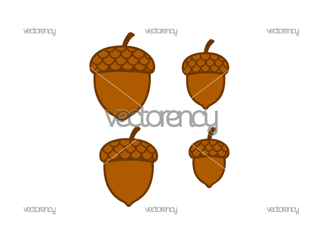 Acorns SVG
