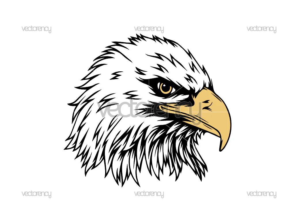 Eagle Head Vector Illustration Download