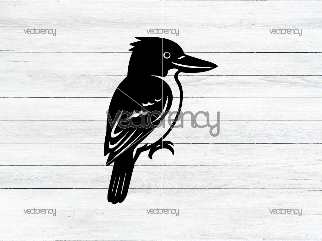 Australian Kookaburra SVG Clipart