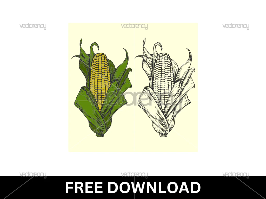 Corn Free SVG