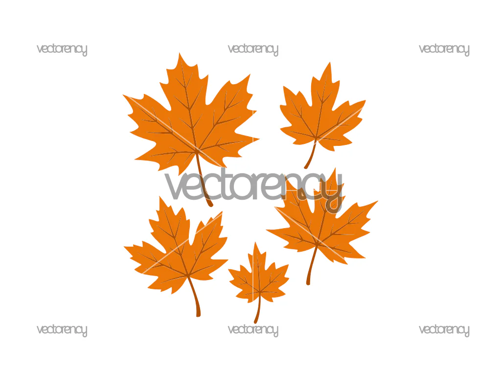 Maple Leaves SVG
