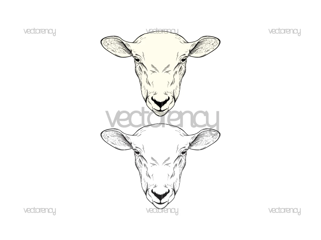 Sheep Vector SVG Download