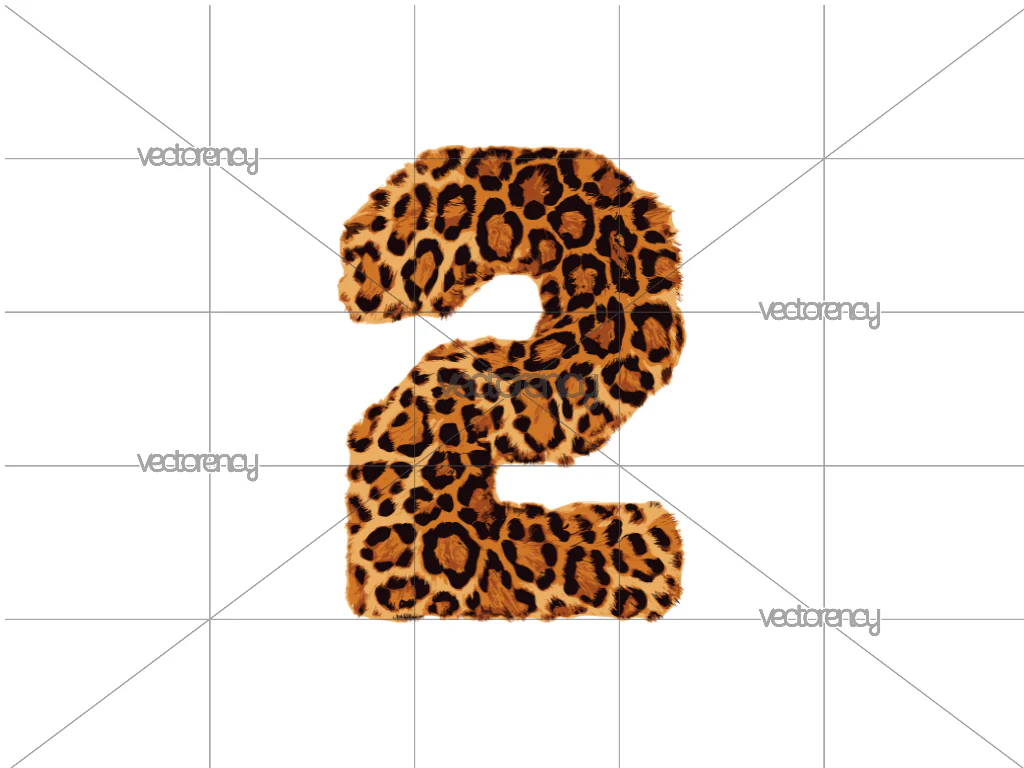 Number 2 Leopard Print Pattern PNG HD Transparent