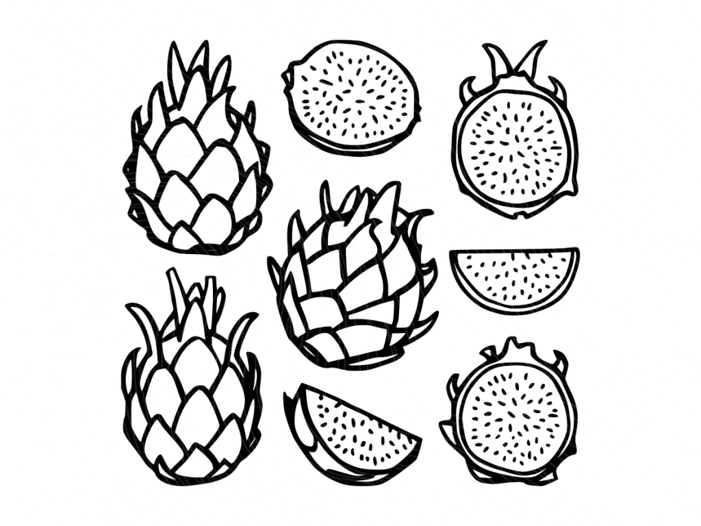 Dragon Fruit Fruit SVG, Sliced Outline Clipart